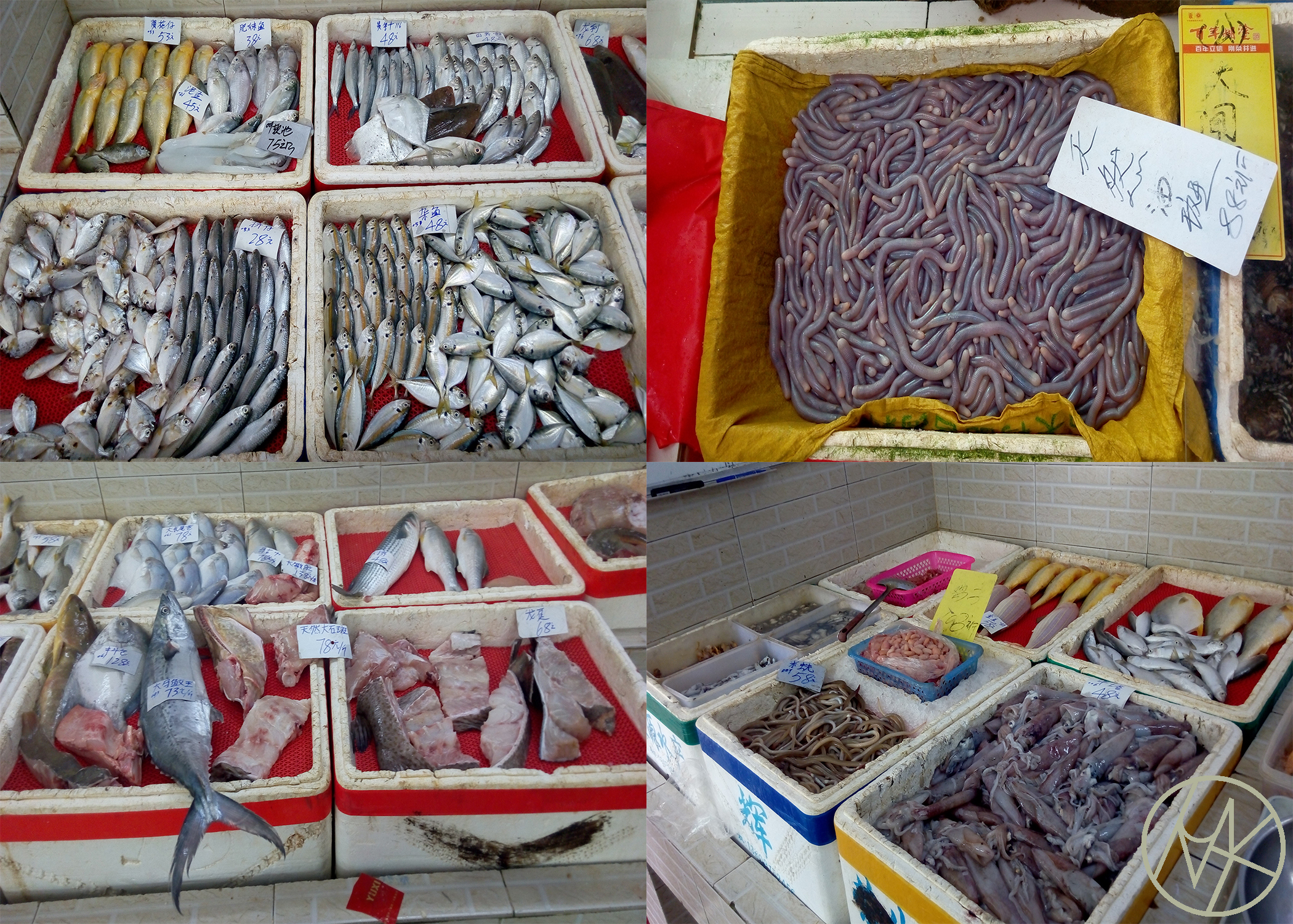maoming_market_seafood.jpg